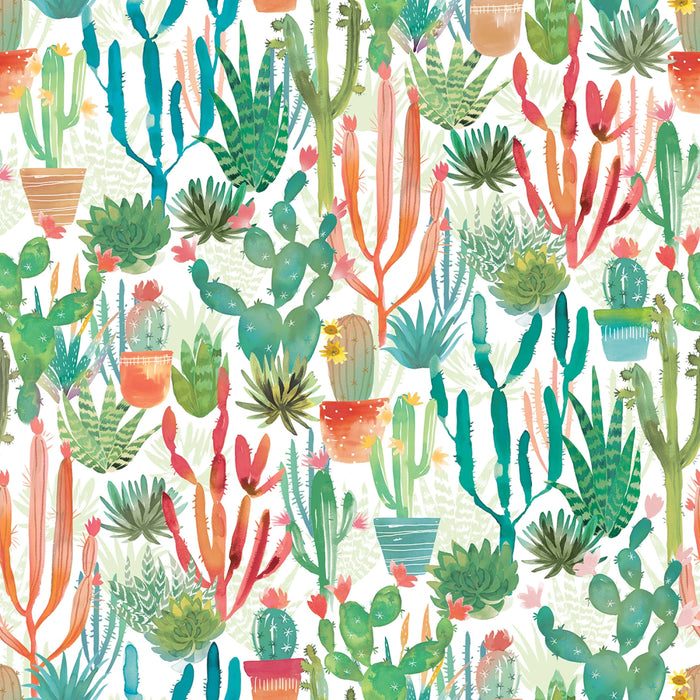 Desert Dreams