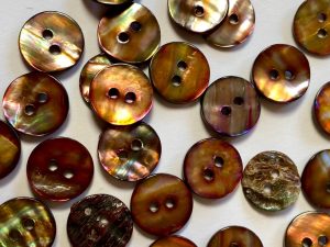 Shell Buttons