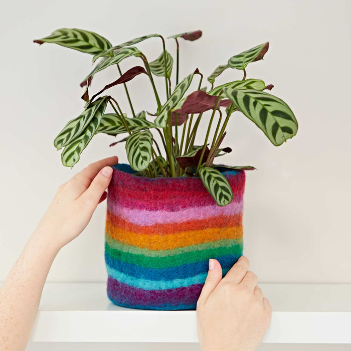 Handmade Felt Rainbow Plant Pot Cover