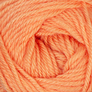 Cherub DK