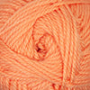 Cherub Aran