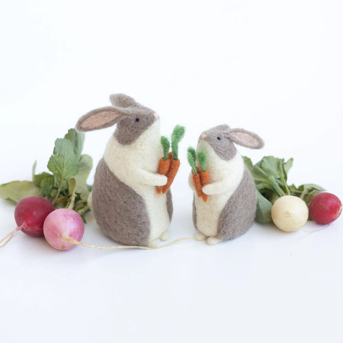 Bunnies & Carrots Needle Felting Kit