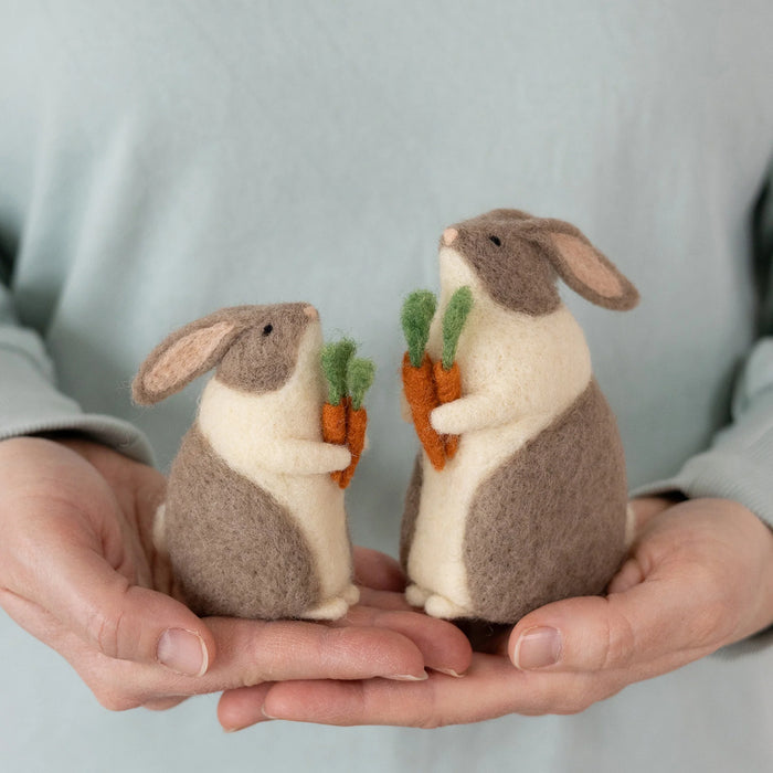 Bunnies & Carrots Needle Felting Kit