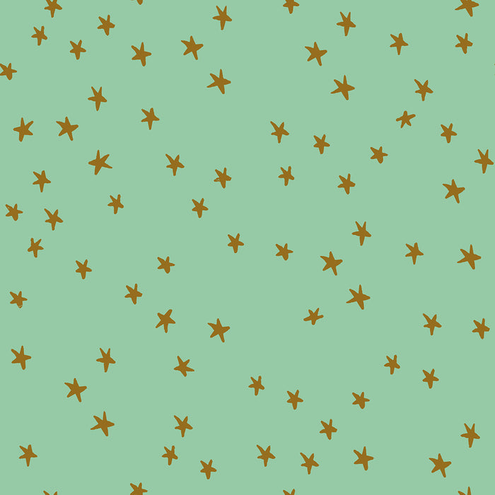 Starry