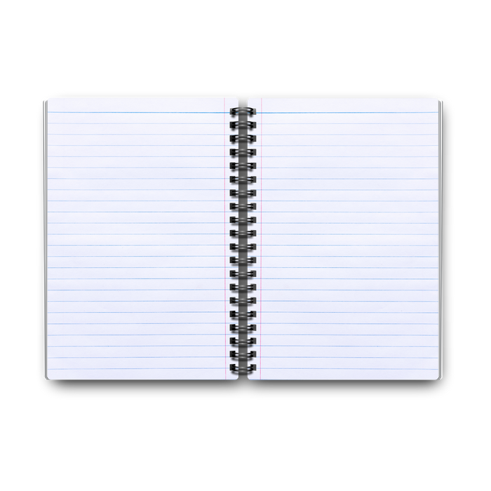 Ashen Notebook