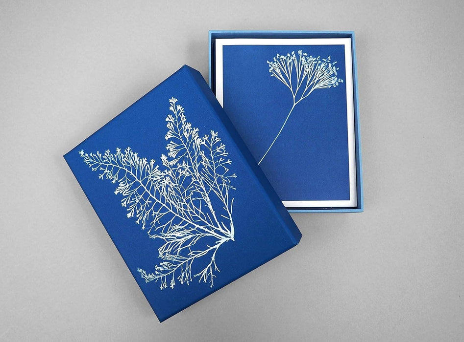 Sunprint Notecards