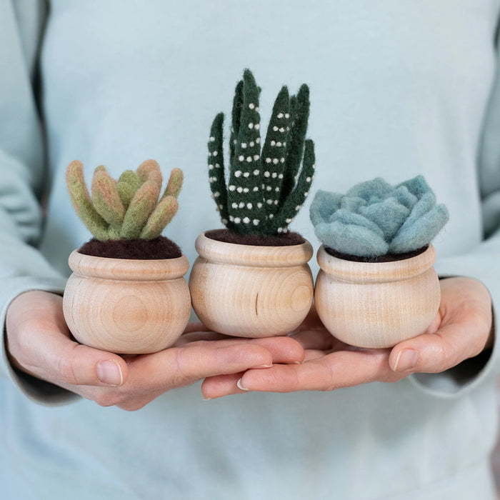 needle felting succulents Succulents Needle Felting Kit